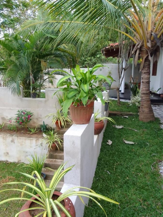 Peacock Garden Acomodação com café da manhã Tangalle Exterior foto